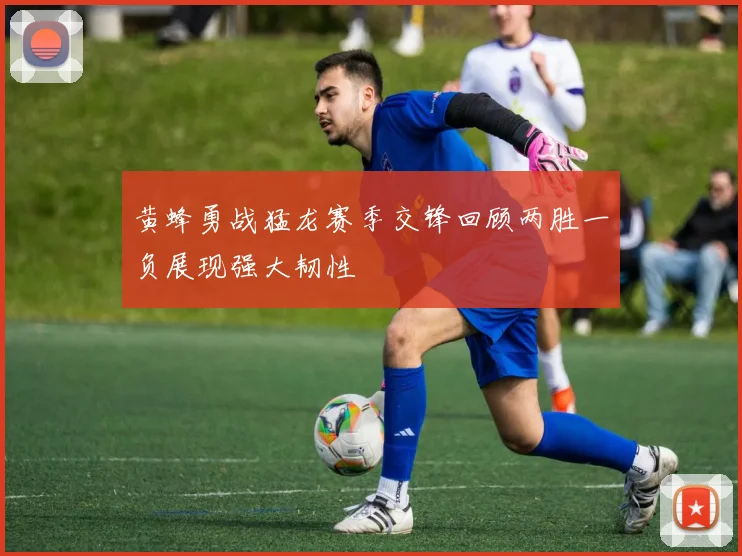 黄蜂勇战猛龙赛季交锋回顾两胜一负展现强大韧性