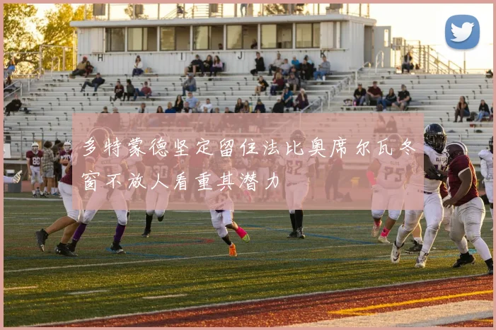 多特蒙德坚定留住法比奥席尔瓦冬窗不放人看重其潜力