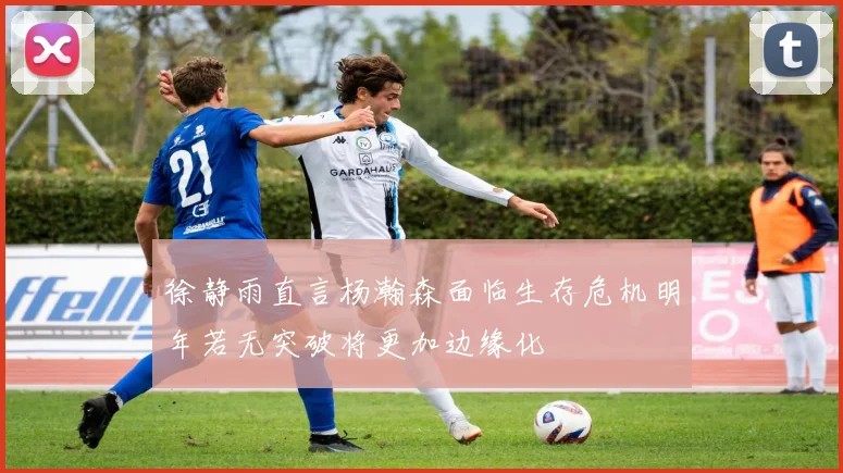 徐静雨直言杨瀚森面临生存危机明年若无突破将更加边缘化