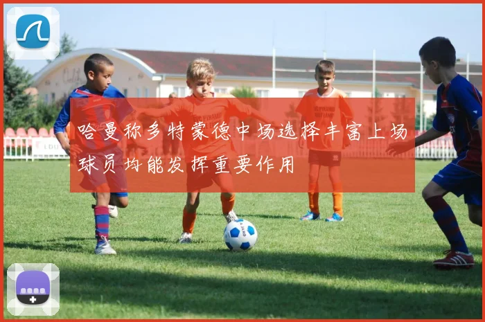 哈曼称多特蒙德中场选择丰富上场球员均能发挥重要作用