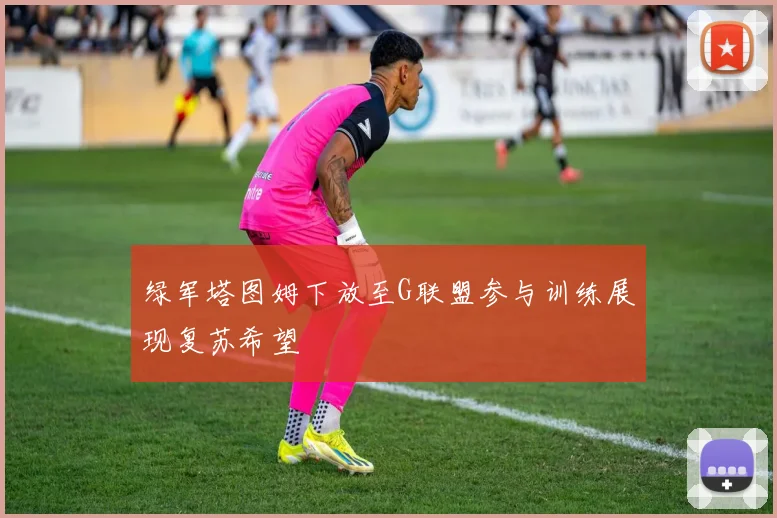 绿军塔图姆下放至G联盟参与训练展现复苏希望