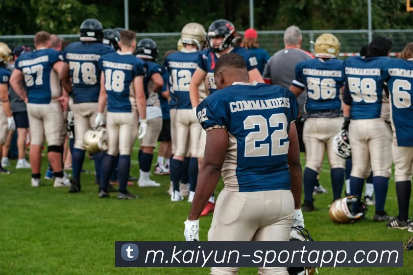 开云足球APP 封面图